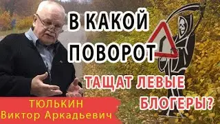 В какой поворот тащат левые блогеры?