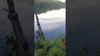 Ultralight fishing with worms