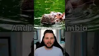 Animal facts that you didn't know before #animals #facts #shorts #short #new #science