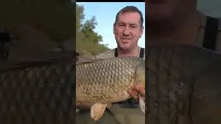 дикие поклевки сазана, полное видео смотри на канале 