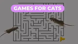 Games For Cats - Mice Maze Entertainment Video for Cats to Watch on iPad or Screen