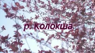 Наша река Колокша.. И на ее берегах произошло сражение ....