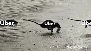 Uber Повернувся!!🤬