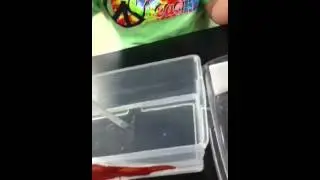 Heart Disease Demonstration