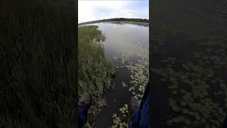 Вдоль вдх. Саковщина.