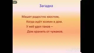 10 февраля 2021 г.