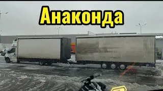 Еду в Москву/ предновогодний рейс/ ОБЗОР НА ПАРОВОЗИК Александра из Челябинска 🚛