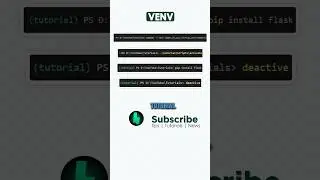 Python Virtual Environments (venv) | Productivity Tip 