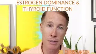 Estrogen Dominance & Thyroid Function