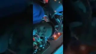 awaleh aden | Autriche 2024