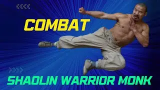 Shaolin Warrior Monk Combat Demo ⛩⛩⛩ #kungfu #martialarts #shaolin