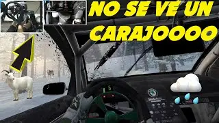 CONDICIONES  climáticas EXTREMAS en REALIDAD VIRTUAL / Dirt Rally 2.0 / SKODA WRC 2000