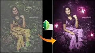 Snapseed New style photo editing + Snapseed new trick editing + PicsArt Butterfly photo editing