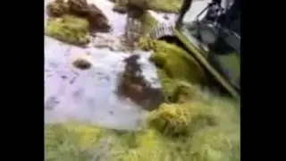 Как тонут на севере
