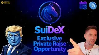 SuiDex: New Yield Farm Launching on SUI | Private Raise Details