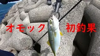オモックで初めて釣れた！