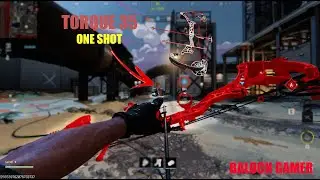 Warfare 3  Torque 35 Arrow