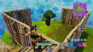 Fortnite Duo win
