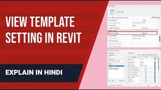 Revit View template