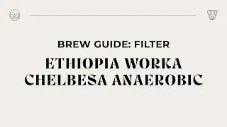 ONYX Brew Guide - Ethiopia Worka Chelbesa Anaerobic Filter