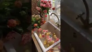 Утята и немного  вдохновения в июльскую жару. #Shorts