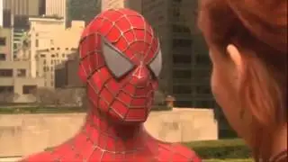 I'm the bonglord - SPIDERMAN EDITION