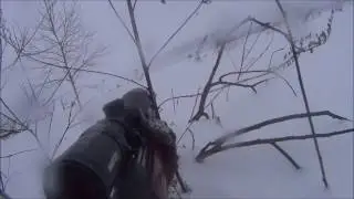 Охота на зайца.3 заяц в сезоне 2017