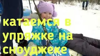 В Шлиссельбург пришла зима. Катаемся в упряжке на сноуджеке. Катаем детей.