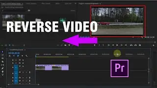 How To Reverse Video Clip - Adobe Premiere Pro