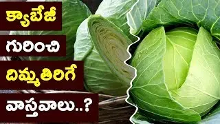 క్యాబేజీని అందరం తింటాం…Amazing Benefits of Cabbage  |Health Benefits
