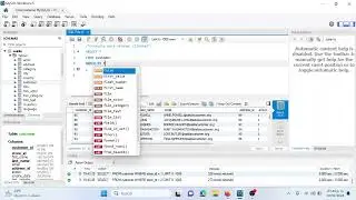 Consultas en MySQL (Video 1)