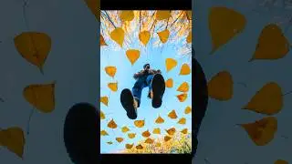 Creative Autumn Perspective 🍁 shot with 