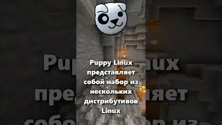 Что такое Puppy Linux?