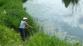 2023 06 20 Мне 71 год.  Я на Возрождении.