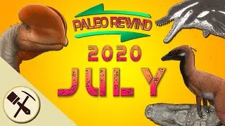 Paleorewind 2020-July- Fuzzy Archosaurs, Killer Dolphins, and Crocs, Oh My!