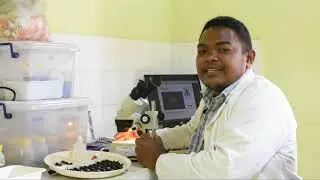Dynamique et biodiversité fonctionnelle des insectes régulateurs à Bezà Mahafaly