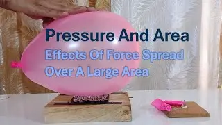 Bed Of Nails Experiment - Pressure And Area Relationship - Effect Of Force Spread Over Large Area