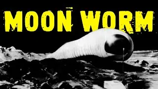 Meet the Lunar Worm