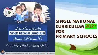 Single National Curriculum for Primary Schools Approved