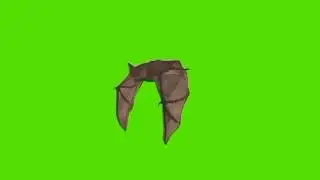 Green screen Bat video | Bat flying green screen