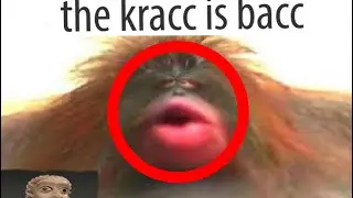 the kracc is bacc!!!11
