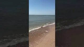 Станица Должанская 3 августа