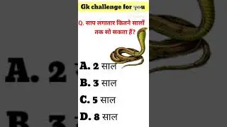 Gk Questions | most important Gk Questions #shorts  #khansir #sarkarinaukarikesawal