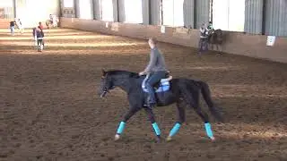 МанежТренировка