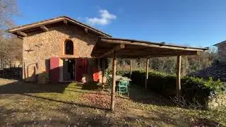 secondo video squarcio nel bosco