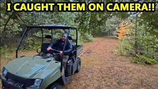 My Trail Cameras Caught Something Again… But It Wasn’t Human