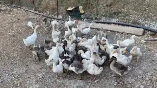 KAZ SEZONU YAKLAŞIYOR