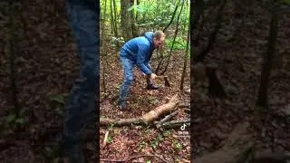 говорил не получится