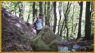ESCURSIONE alla ricerca di INSETTI e ANFIBI • [Riserva Acquerino Cantagallo]