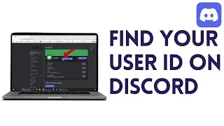 How To Find Your User ID On Discord  | Full Guide 2024